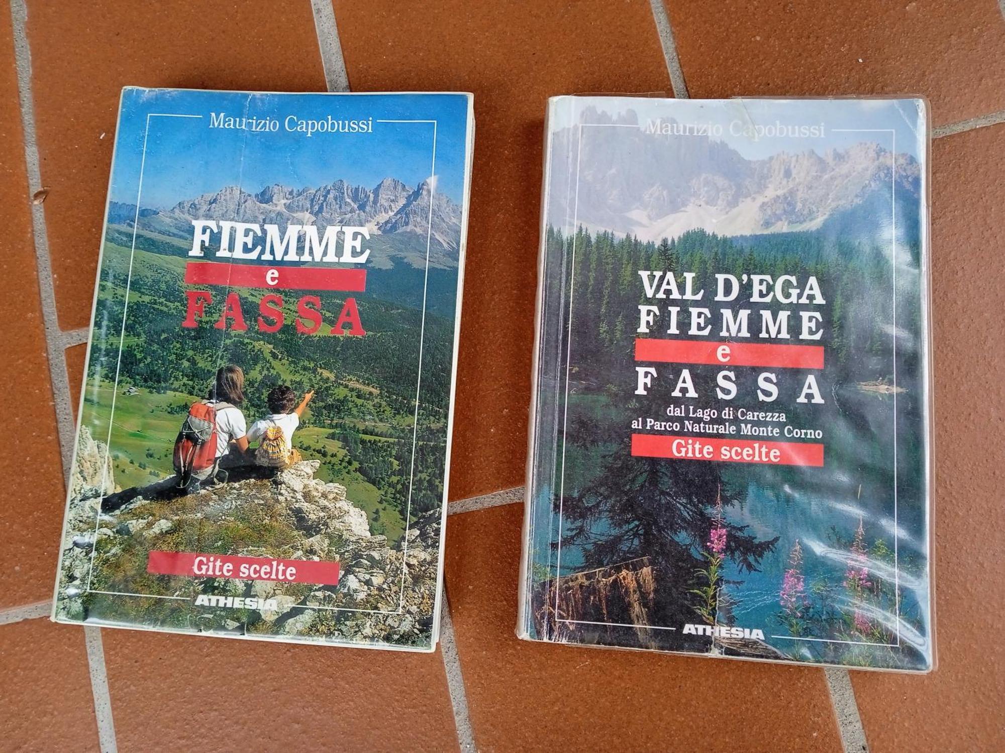 Appartamento Tiziana Val Di Fiemme カラーノ エクステリア 写真