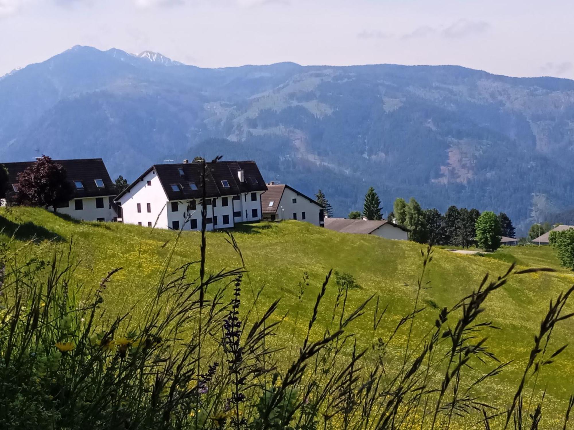 Appartamento Tiziana Val Di Fiemme カラーノ エクステリア 写真
